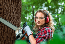 Essential Tips to Enhance Your Career in Arboriculture