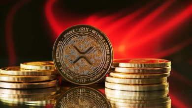 How Elon Musk XRP Could Shape the Future of Ripple