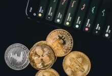 top long term investment options