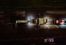 operational efficiency metrics analyzed